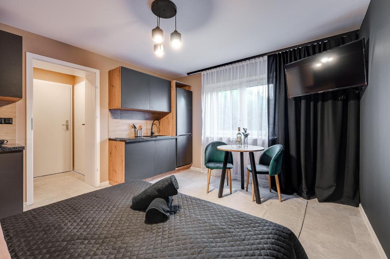 Loft House Apartment Studio Z Ogrodkiem 1 Rybnik  Extérieur photo