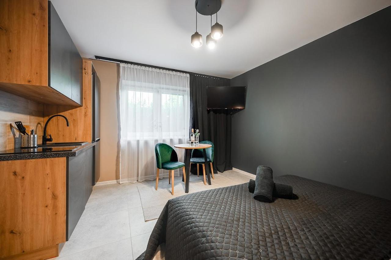Loft House Apartment Studio Z Ogrodkiem 1 Rybnik  Extérieur photo